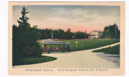 D-16113  SAALBURG : Roemerkastell Saalburg - Hotel-Restaurant Saalburg - Ebersdorf