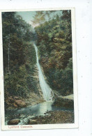 Devon Postcard Lydford Cascade Posted South Brentt 1907 - Dartmoor