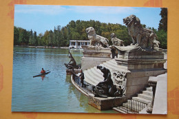 Old Postcard - Sport  -   Spain, Madrid - Rowing - Roeisport