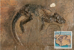 LIBYA 1985 Fossils Mammals (maximum-card) - Fossili