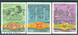 1970 Tobacco Industry,EDEN/El MAMBI/Gran PENA Cigar Band Labels,CUBA,1606,MNH - Tabaco