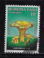 BURKINA FASO 1989 SCOTT#896 USED - Burkina Faso (1984-...)