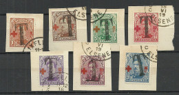 BELGIEN Belgium Belgique 1918 Michel 129 - 135 O Red Cross OPT "T" Taxe? Postage Due? One "T" Is Inverted - 1918 Croce Rossa