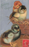 FÊTES ET VOEUX - Pâques - Des Petits Poussins Dans Un Panier - Colorisé - Carte Postale Ancienne - Pâques