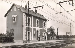 FRANCE - Celon (Indre) - La Gare - Carte Postale - Sonstige & Ohne Zuordnung