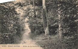 FRANCE - Magny Les Hameaux - Port Royal - Allée De La Solitude - Forêt - Carte Postale Ancienne - Magny-les-Hameaux