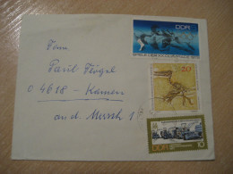 1975 To Komen Flugsaurier Prehistoric Cancel Cover DDR GERMANY Fossil Fossils Animals Fossiles Geology Geologie - Fossils