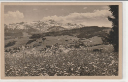 BEI DEGERSHEIM BLICK  AUF SANTIS - Degersheim