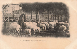 FRANCE - Pyrénées - Pâtre Et Brebis à La Montagne - Carte Postale Ancienne - Other & Unclassified