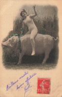 Femme En Collant ( Artiste 1900 ? ) Sur Un Cochon * CPA 1904 * Pig Cochons * Nu - Schweine