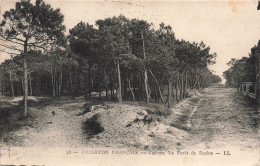 FRANCE - Cayeux - Brighton Français - La Forêt De Sapins - LL - Carte Postale Ancienne - Cayeux Sur Mer