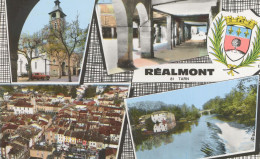 81222 02 02 - REALMONT - MULTIVUES - Realmont