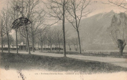 FRANCE - Aix Les Bains - Cornin Et La Dent Du Chat - Carte Postale Ancienne - Aix Les Bains