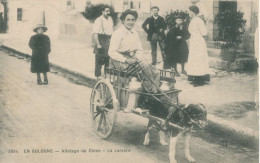 EN SOLOGNE - ATTELAGE DE CHIEN, LA LAITIERE  - TOP RARE / TTB - Autres & Non Classés