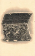 ANIMAUX & FAUNE - Chatons Sortant Dans Une Boite - Carte Postale Ancienne - Katzen
