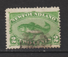 Neufundland MiNr. 32 - Unused Stamps