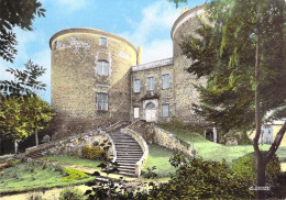 43 - Monistrol Sur Loire - Le Vieux Château - Monistrol Sur Loire