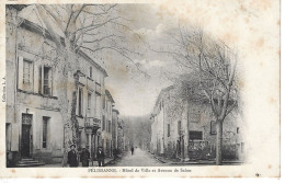 CPA13- PELISSANNE- Hôtel De Ville Et Avenue De Salon - Pelissanne