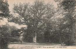 FRANCE - Sénart - Forêt De Sénart - La Chêne Prieur - Carte Postale Ancienne - Sénart