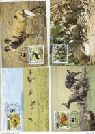 A41382)WWF-Maximumkarte Saeuegetiere: Guinea 1194 - 1197 A - Cartes-maximum