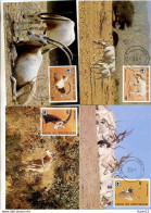 A41440)WWF-Maximumkarte Saeuegetiere: Niger 941 - 944 - Cartes-maximum