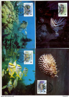 A41515)WWF-Maximumkarte Fische: Antigua 1010 - 1013 - Maximumkarten