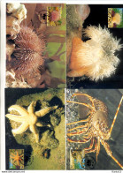 A41528)WWF-Maximumkarte Fische: Alderney 61 - 64 - Maximumkaarten