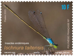 Polynésie 2023 - Insectes Endémiques - Ischnura Taitensis - Ungebraucht