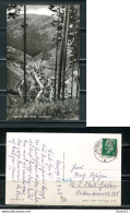 K13584)Ansichtskarte: Lauscha, Unterland, Gelaufen 1967 - Lauscha