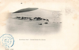 ALGERIE - Extrême Sud - Convoi Dans Les Dunes - Carte Postale Ancienne - Autres & Non Classés