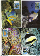 A41536)WWF-Maximumkarte Fische: Malediven 1198 - 1201 - Maximum Cards