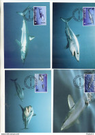 A41565)WWF-Maximumkarte Fische: Union Isl. 269 - 272 - Cartoline Maximum