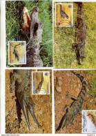 A41586)WWF-Maximumkarte Reptilien: Kongo 1063 - 1066 - Maximumkarten