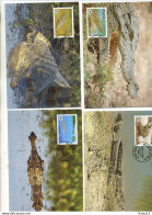 A41594)WWF-Maximumkarte Reptilien: Palau 690 - 693 - Maximumkarten