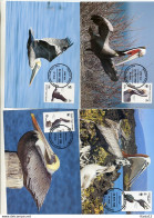 A41662)WWF-Maximumkarte Vogel: Jungferninseln 637 - 640 - Maximumkarten