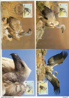 A41673)WWF-Maximumkarte Vogel: Lesotho 1276 - 1279 - Maximumkarten