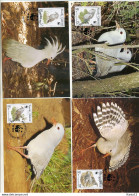 A41691)WWF-Maximumkarte Vogel: Neukaledonien 1144 - 1147 - Cartes-maximum