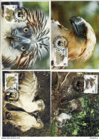 A41703)WWF-Maximumkarte Vogel: Philippinen 2038 - 2041 - Cartes-maximum