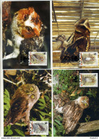 A41704)WWF-Maximumkarte Vogel: Philippinen 3593 - 3596 - Cartes-maximum