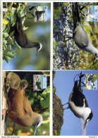 A41706)WWF-Maximumkarte Vogel: Pitcairn 717 - 720 - Cartoline Maximum