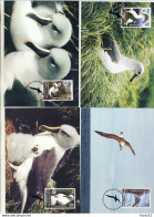 A41727)WWF-Maximumkarte Vogel: Suedgeorgien 357 - 360 - Maximum Cards