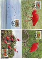A41730)WWF-Maximumkarte Vogel: Trinidad + Tobago 596 - 599 - Maximumkarten