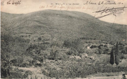 ALGERIE - Miliana - Vue Sur Le Zaccar  - Carte Postale Ancienne - Autres & Non Classés