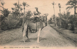 ALGERIE - Méhari Monté Par Un Chambba - Carte Postale Ancienne - Szenen