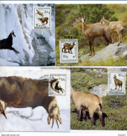 A45105)WWF-Maximumkarte Saeugetiere: Albanien 2423 - 2426 - Maximumkarten