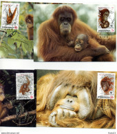 A45127)WWF-Maximumkarte Saeugetiere: Indonesien 1291 - 1294 - Tarjetas – Máxima