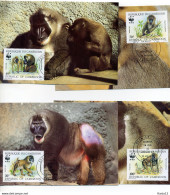 A45132)WWF-Maximumkarte Saeugetiere: Kamerun 1155 - 1158 - Maximumkarten