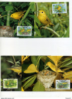 A45168)WWF-Maximumkarte Vogel: Barbados 770 - 773 - Maximumkaarten