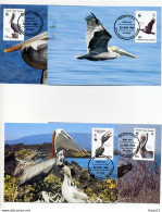 A45179)WWF-Maximumkarte Vogel: Jungferninseln 637 - 640 - Maximumkarten