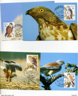 A45185)WWF-Maximumkarte Vogel: Malta 864 - 867 - Maximumkarten